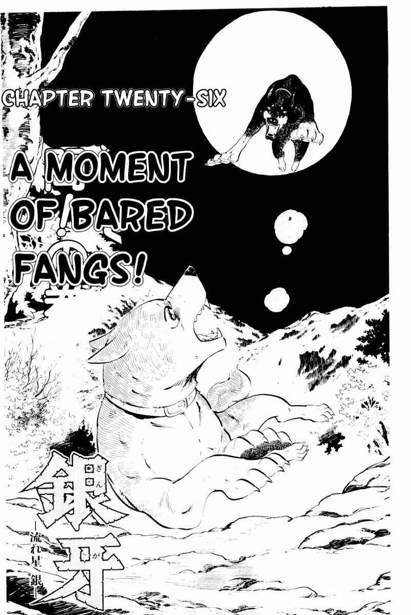 Silver Fang – The Shooting Star Gin – Chapter 26 - Page 6