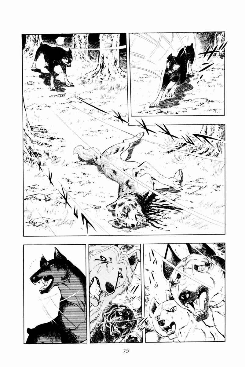 Silver Fang – The Shooting Star Gin – Chapter 26 - Page 78