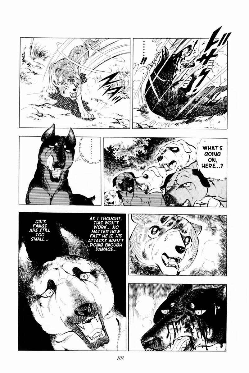 Silver Fang – The Shooting Star Gin – Chapter 26 - Page 87