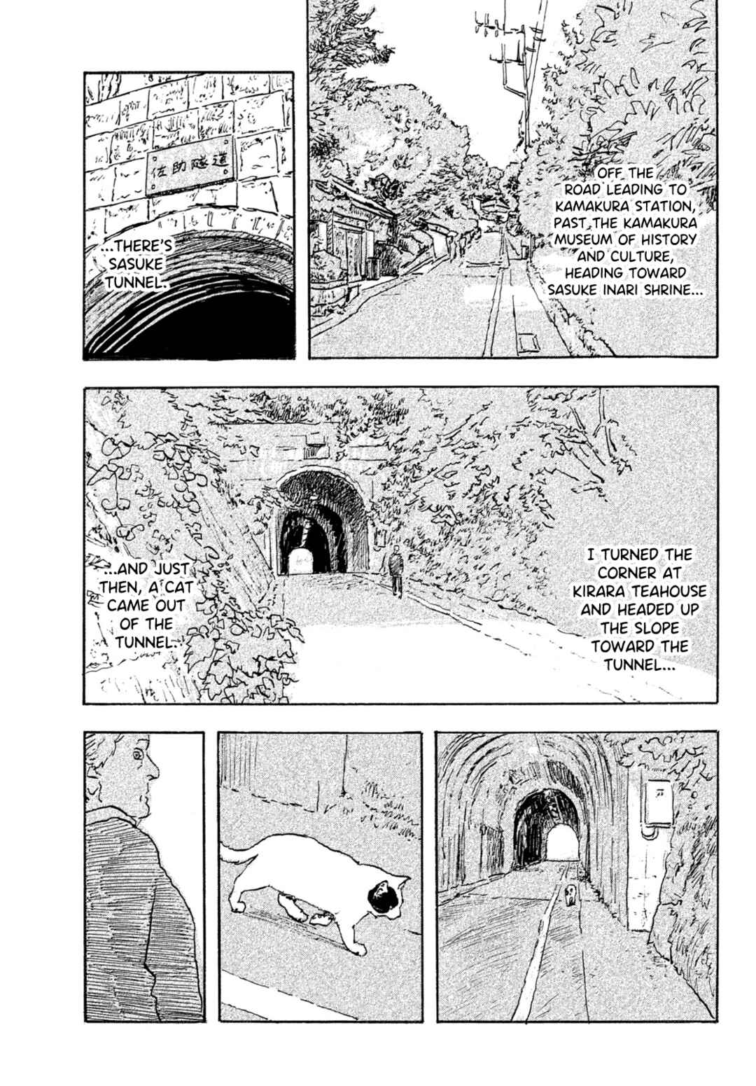 Kamakura Bakeneko Club Chapter 34 - Page 3