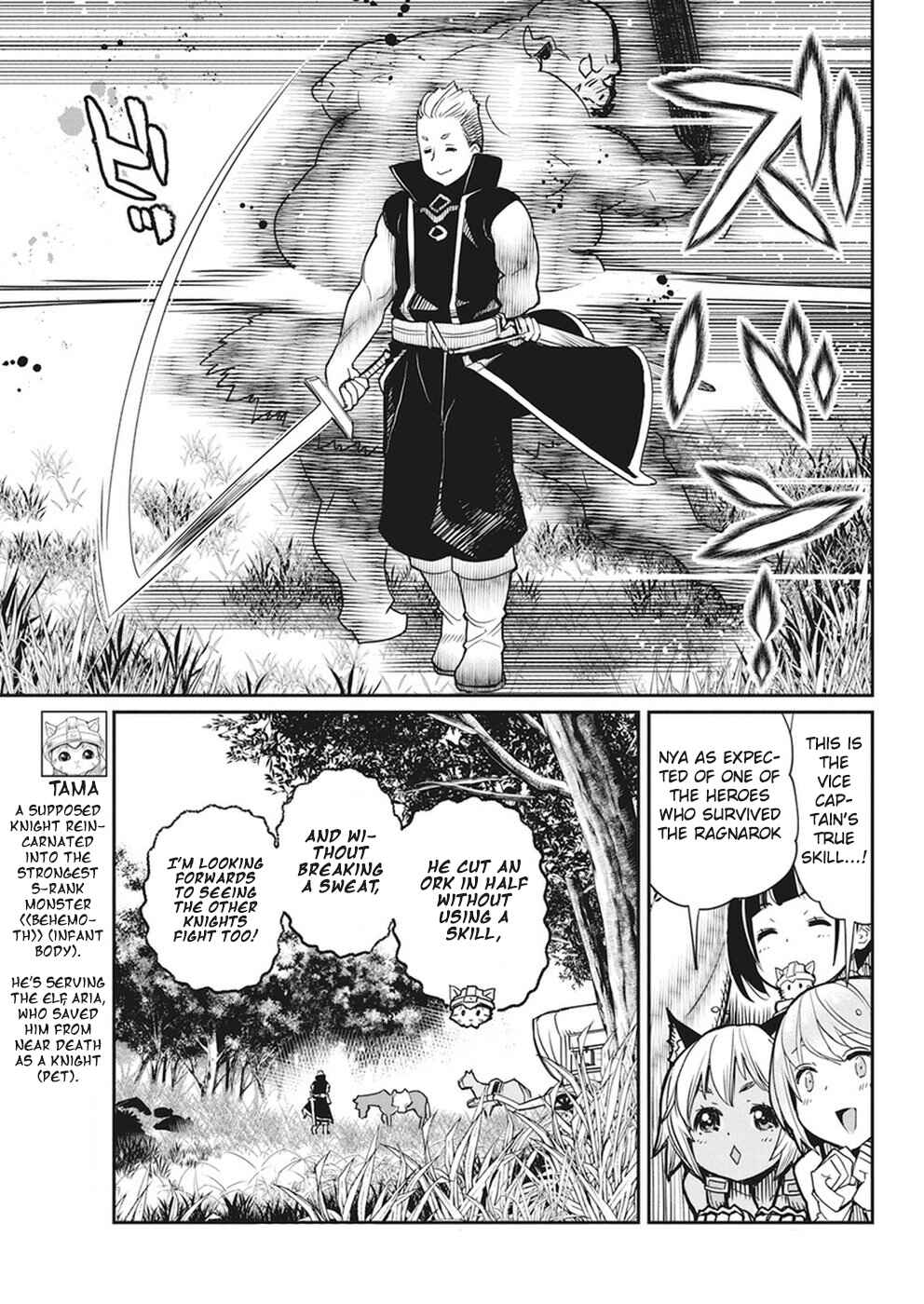S-Rank Monster no "Behemoth" dakedo, Neko to Machigawarete Elf Musume no Pet to Shite Kurashitemasu Chapter 11 - Page 6