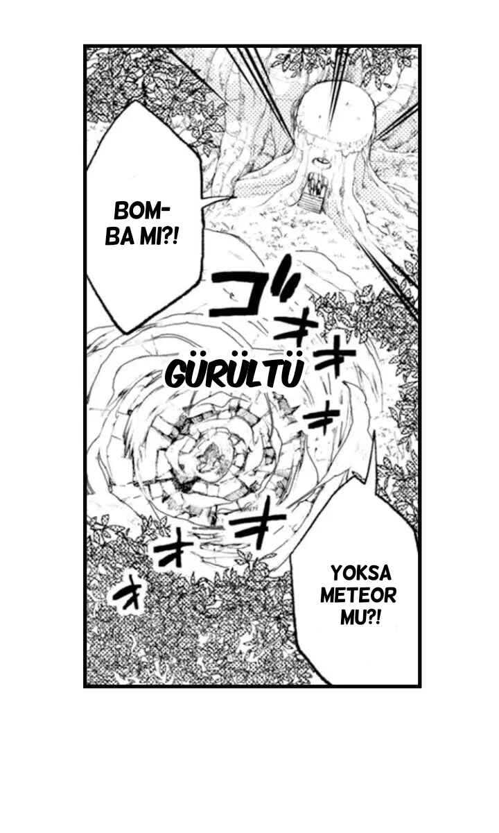 Zenryaku, Onii-chan wa Seijo ni Narimashita Chapter 10 - Page 15