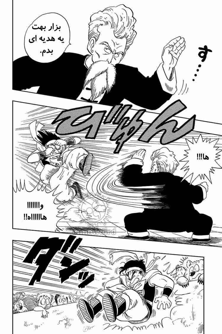 Dragon Ball Chapter 37 - Page 13