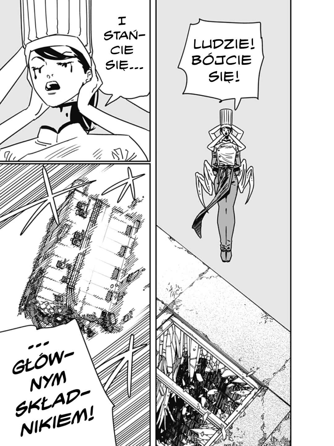 Chainsaw Man Chapter 203 - Page 14