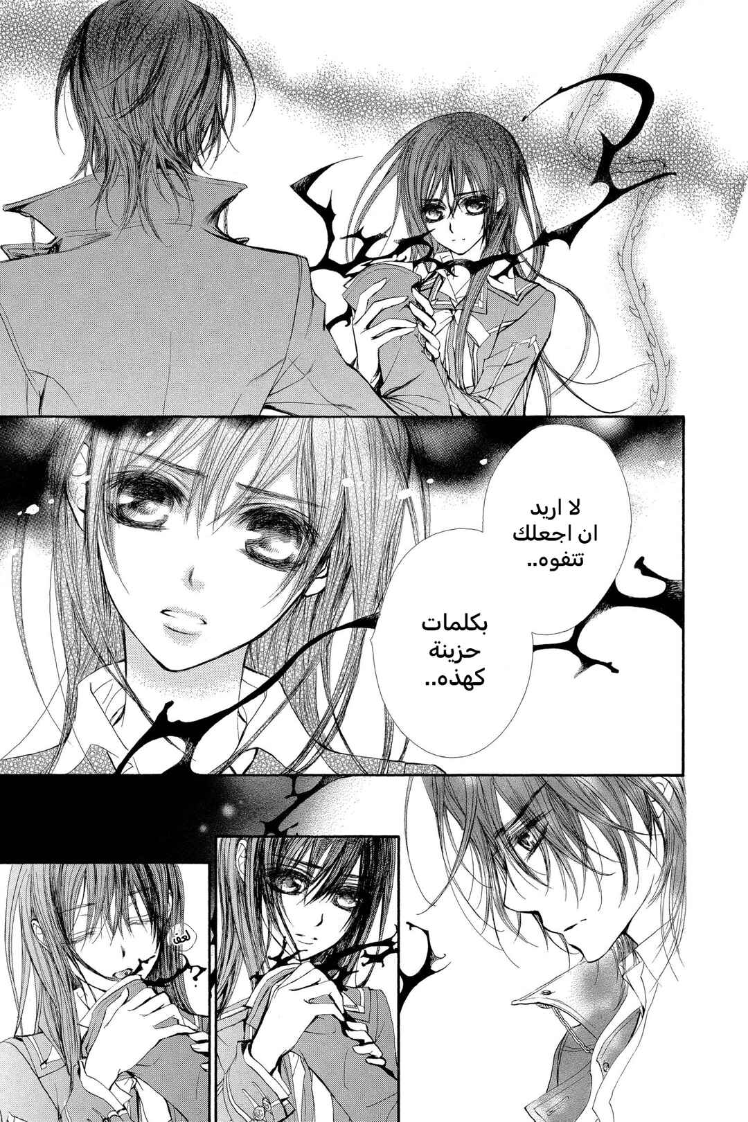 Vampire Knight Chapter 46 - Page 11