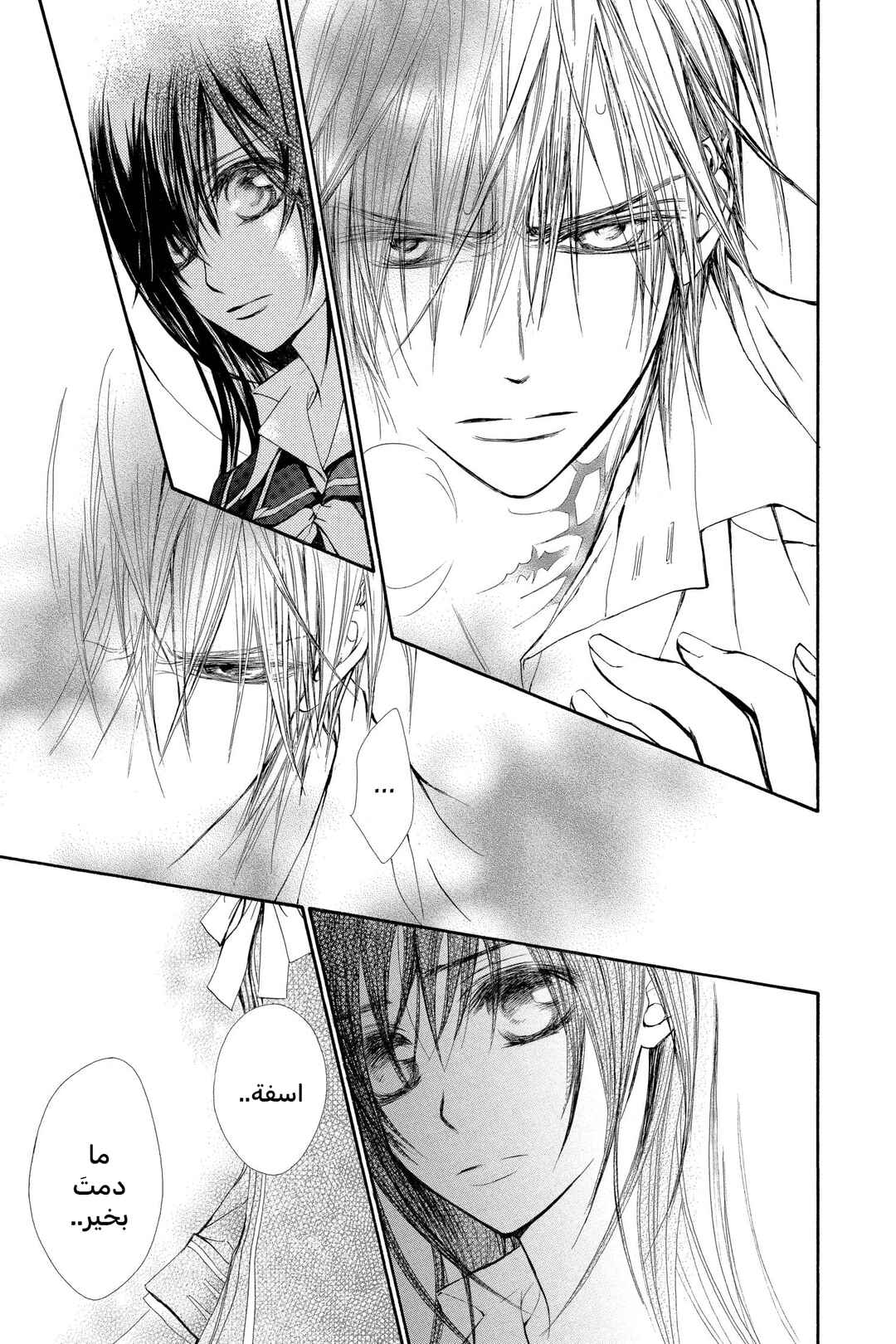 Vampire Knight Chapter 46 - Page 17