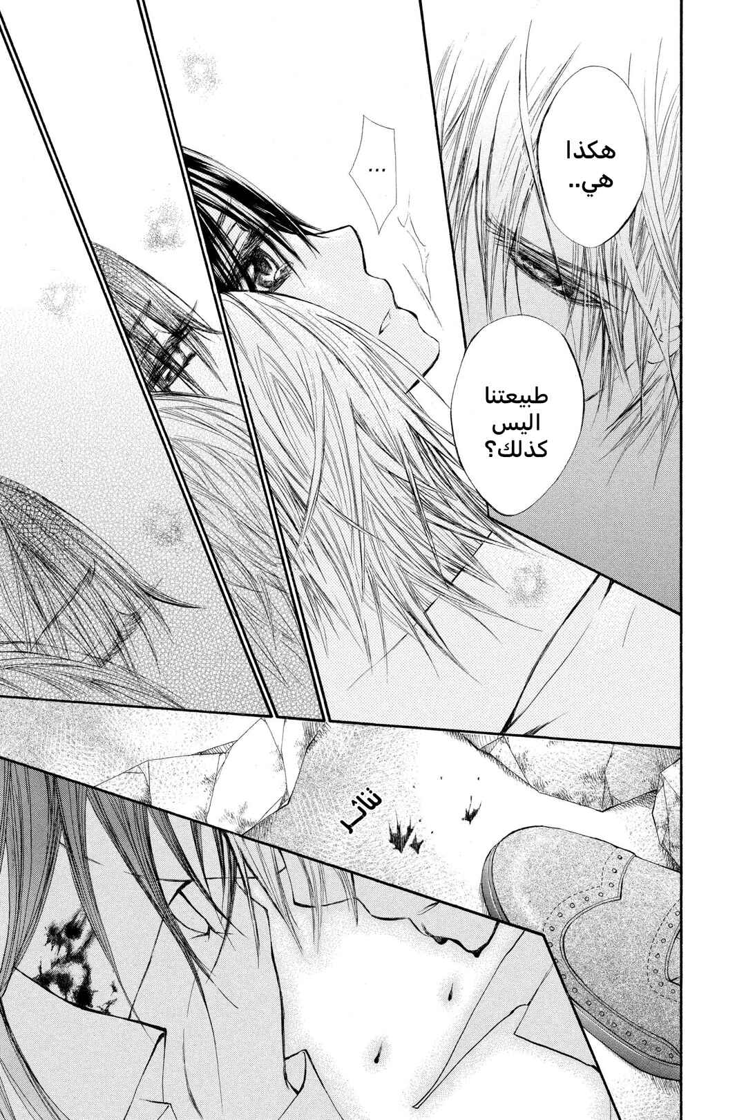 Vampire Knight Chapter 46 - Page 23