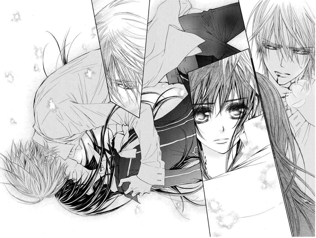 Vampire Knight Chapter 46 - Page 24
