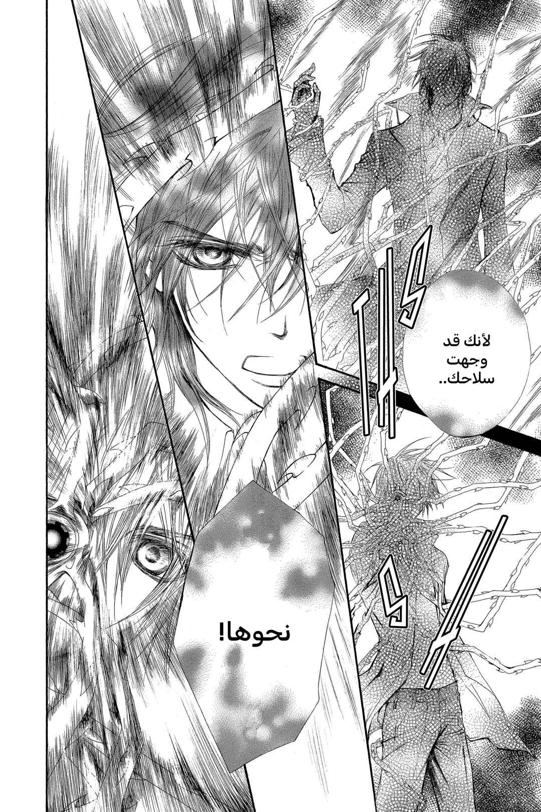 Vampire Knight Chapter 46 - Page 3