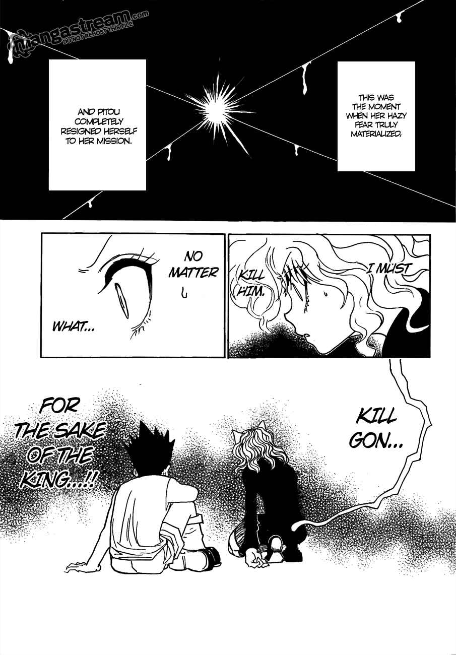 Hunter x Hunter Chapter 295 - Page 17