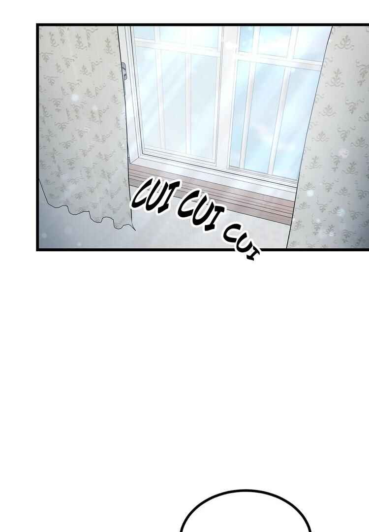 Don’t Pick Don’t Pick Chapter 4 - Page 14