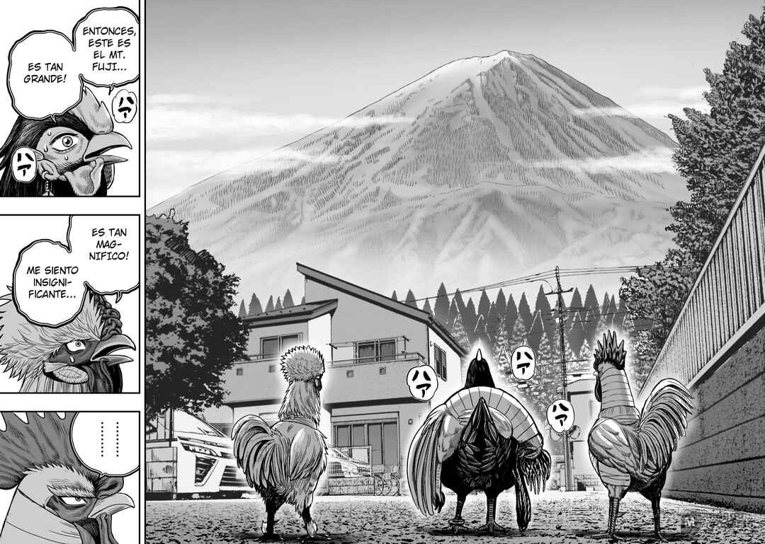 Niwatori Fighter Chapter 36 - Page 18