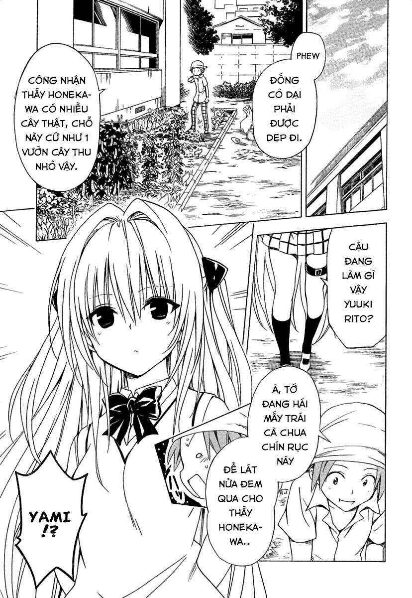 To Love Ru Darkness Chapter 53 - Page 27