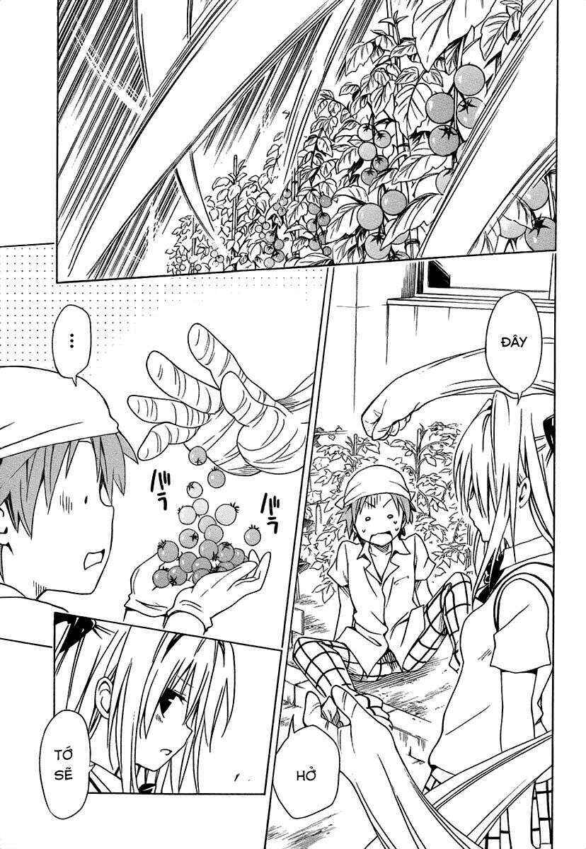 To Love Ru Darkness Chapter 53 - Page 29