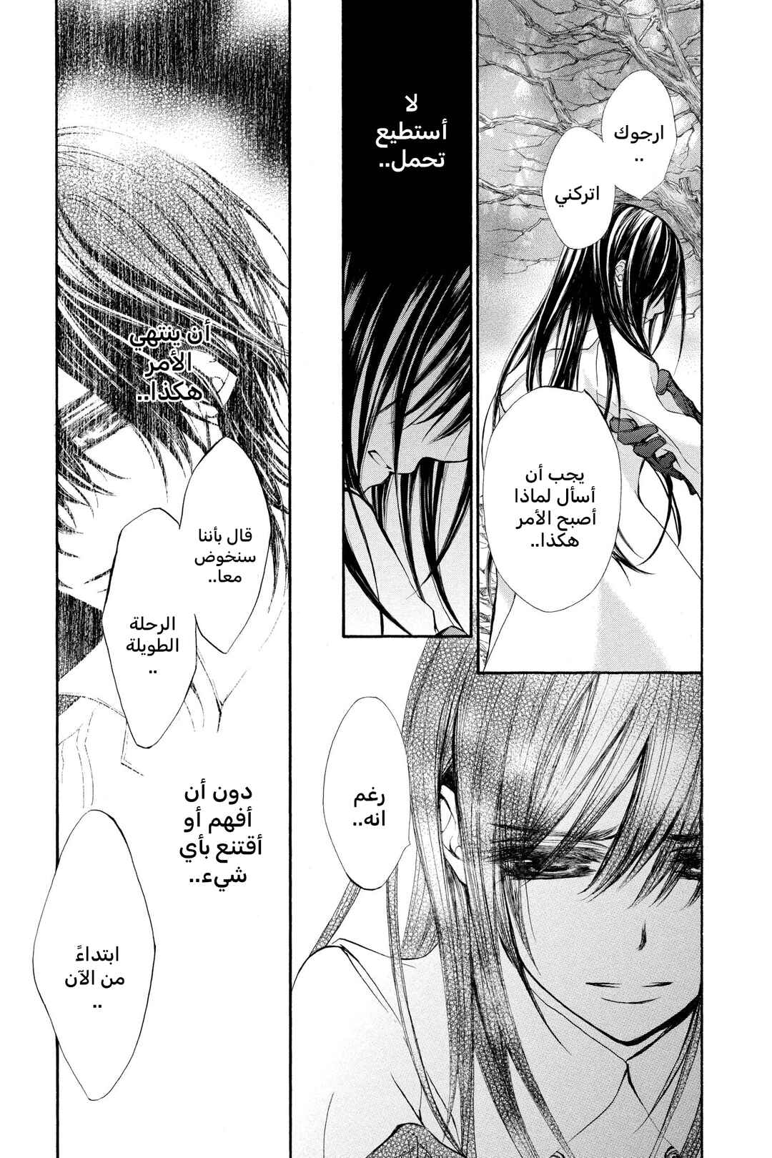 Vampire Knight Chapter 68 - Page 13
