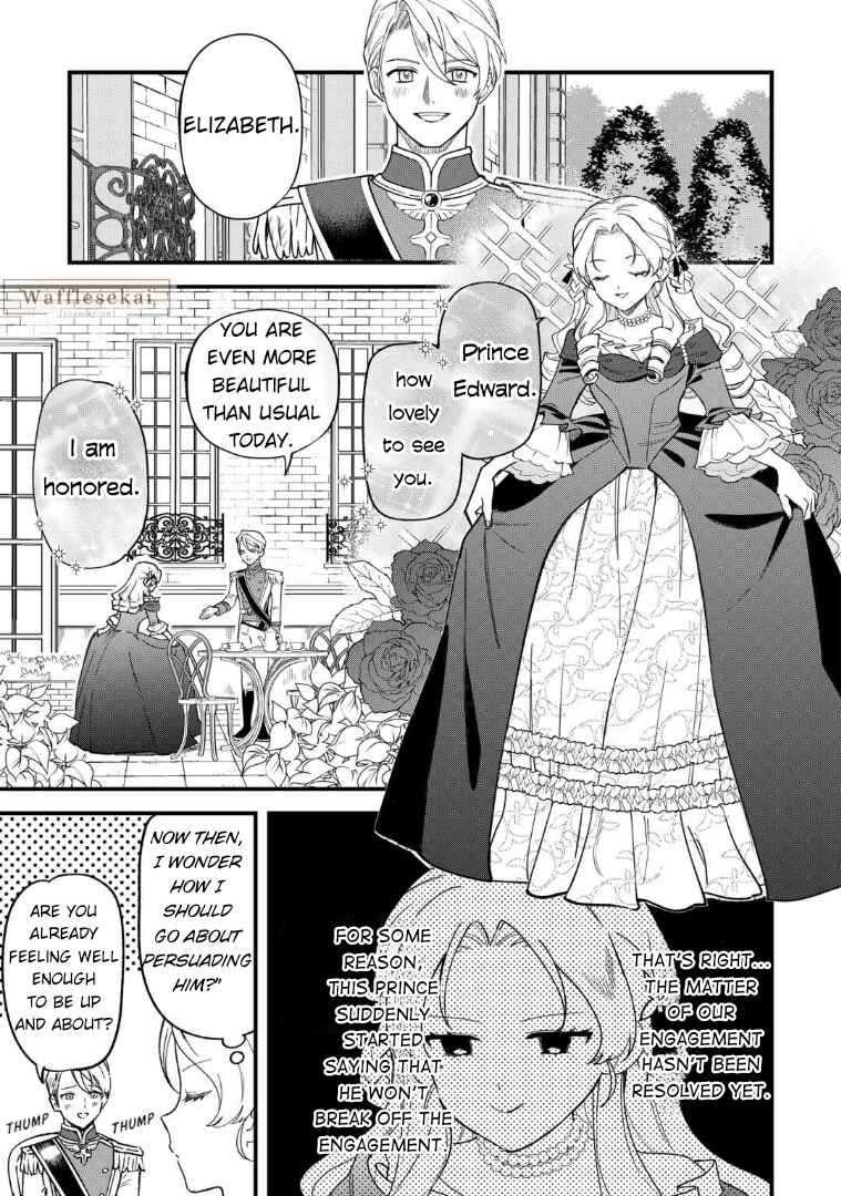 Akuyaku Reijou ni Onee ga Tenseishita kedo nanimo Mondai ga Nai Ken Chapter 3 - Page 25