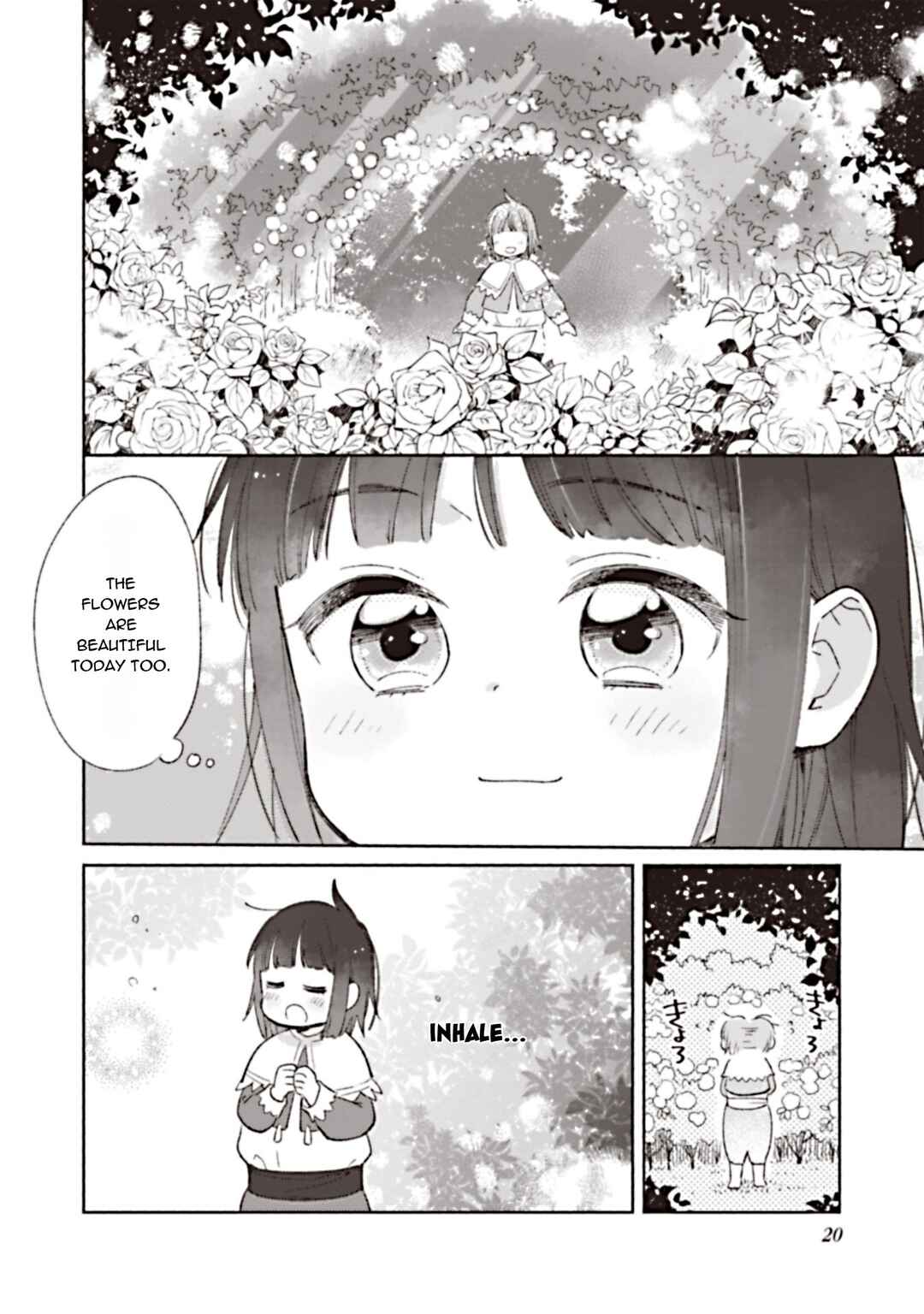 Shirobuta kizokudesuga zensenokiokuga haetanode hiyokonaotoutosodatemasu Chapter 1 - Page 19
