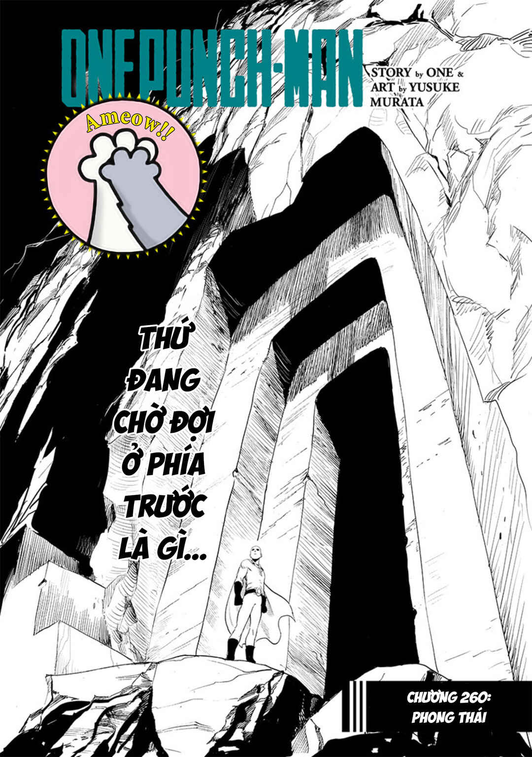 One Punch-Man Chapter 203 - Page 2