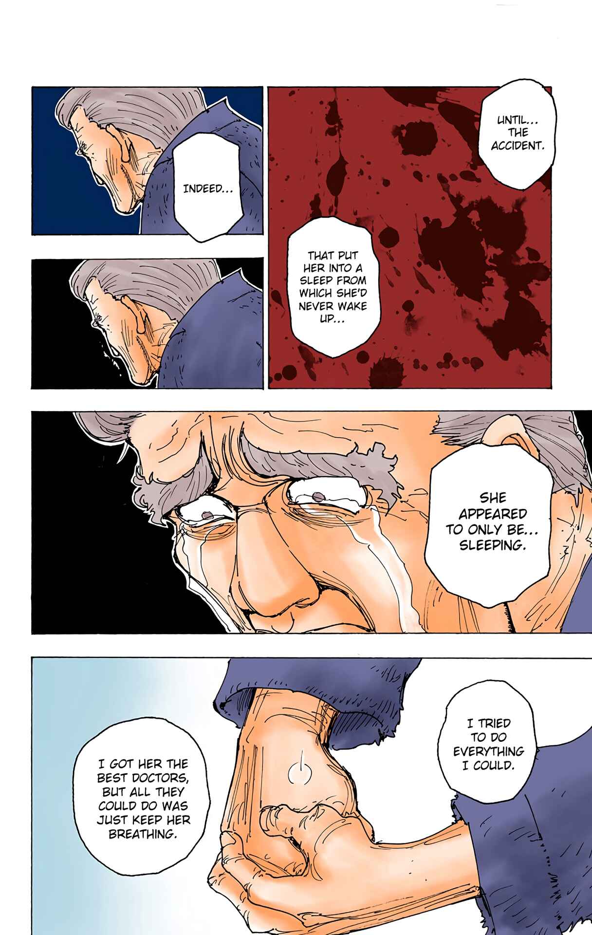 Hunter x Hunter (Official Colored) Chapter 174 - Page 14