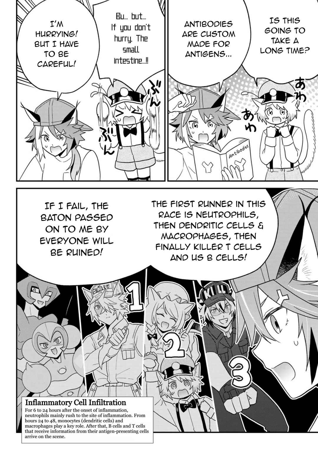 Hataraku Saibou Neko Chapter 20 - Page 12