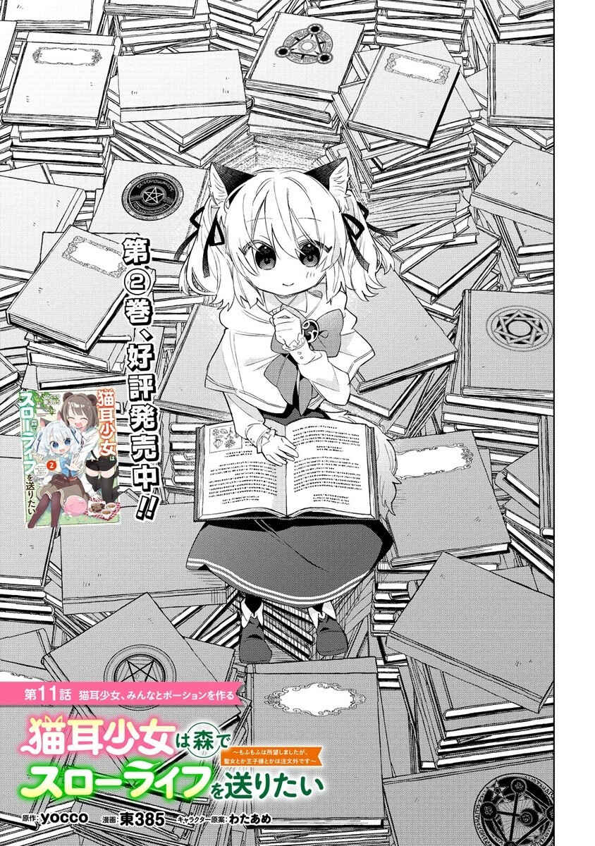 Nekomimi Shoujo wa Mori de Slow Life wo Okuritai ~Mofumofu wa Shomou Shimashita ga, Seijo to ka Ouji-sama to ka wa Chuumongai desu~ Chapter 11.1 - Page 2
