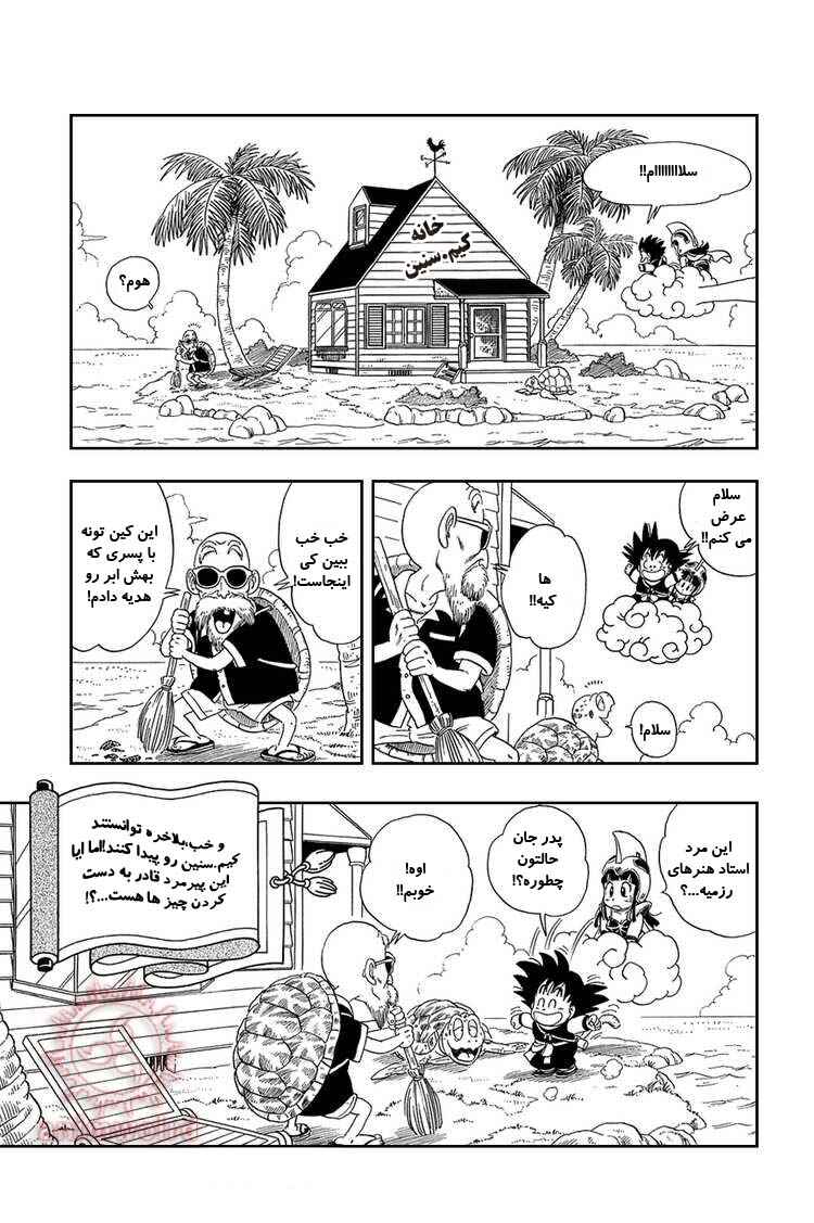 Dragon Ball Chapter 12 - Page 15
