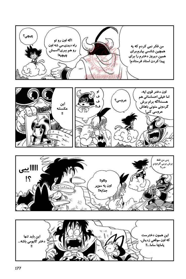 Dragon Ball Chapter 12 - Page 5