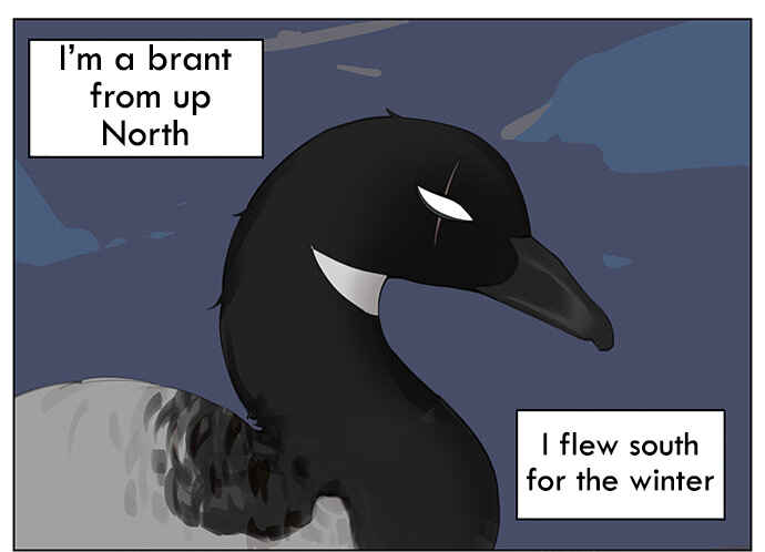 Southern Bird and Northern Bird Chapter 41 - Page 1