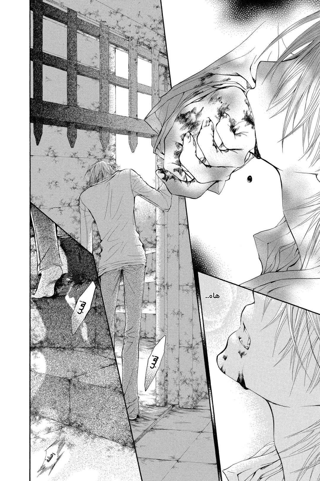 Vampire Knight Chapter 40 - Page 30