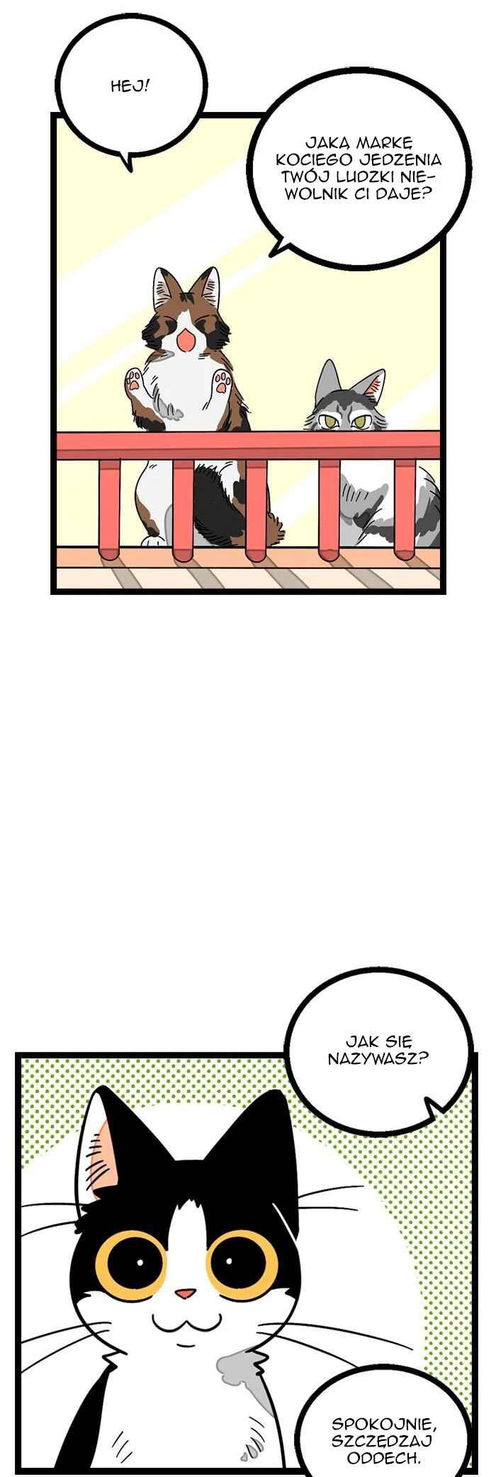 When Monday Met Sunday Chapter 11 - Page 14