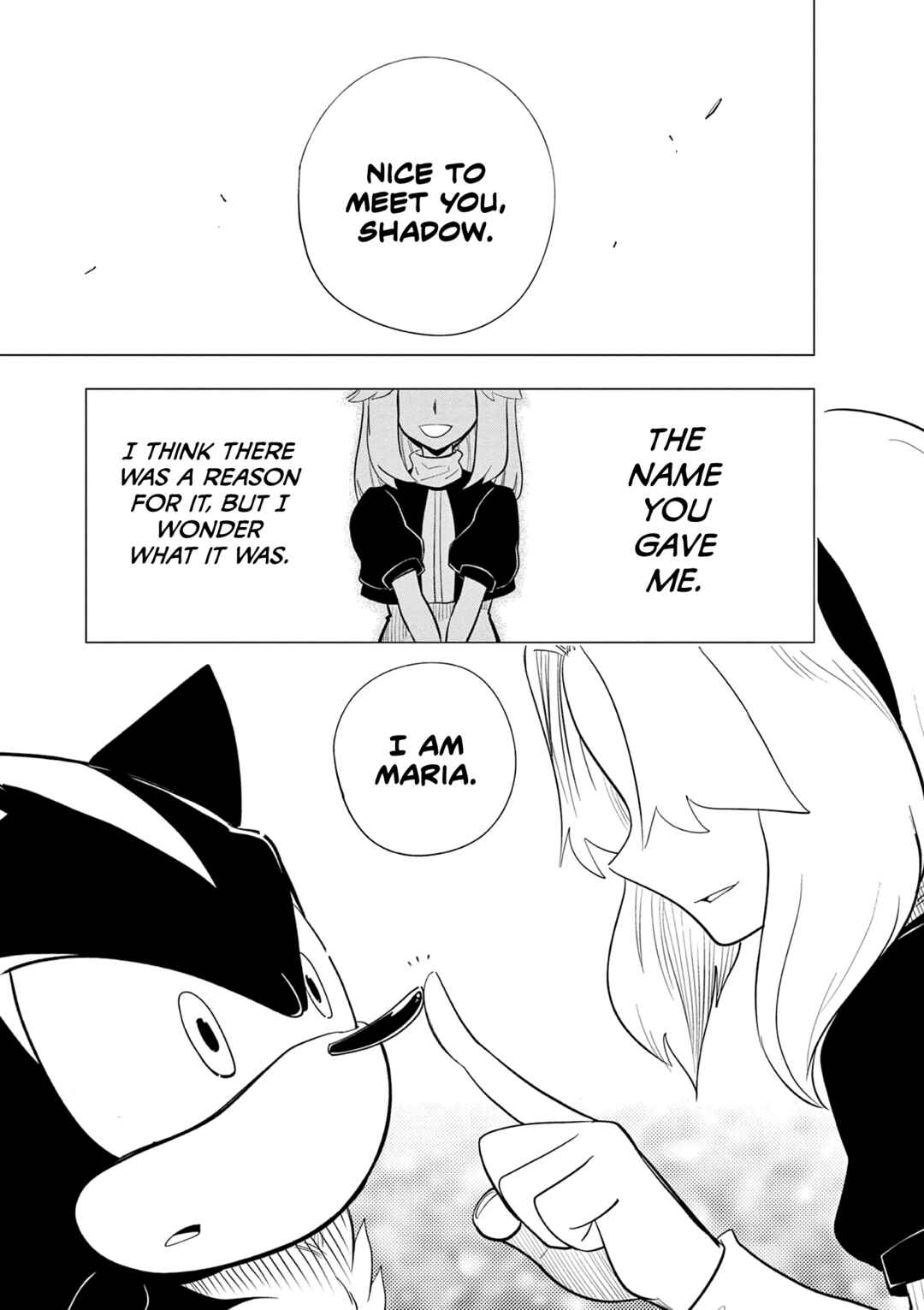 The Jet Black Hedgehog: Shadow the Hedgehog Chapter 6 - Page 1