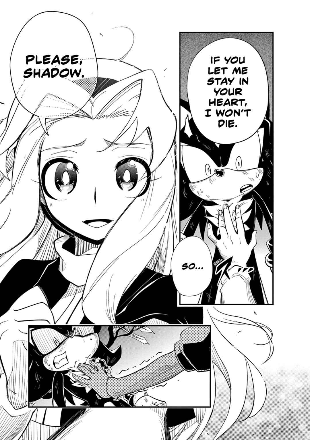 The Jet Black Hedgehog: Shadow the Hedgehog Chapter 6 - Page 13