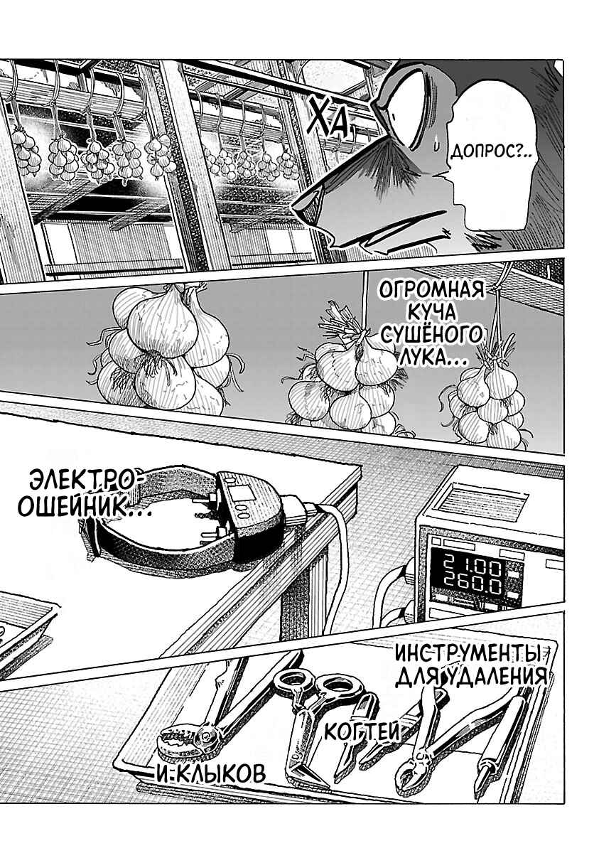 Taika no Risei Chapter 38 - Page 13