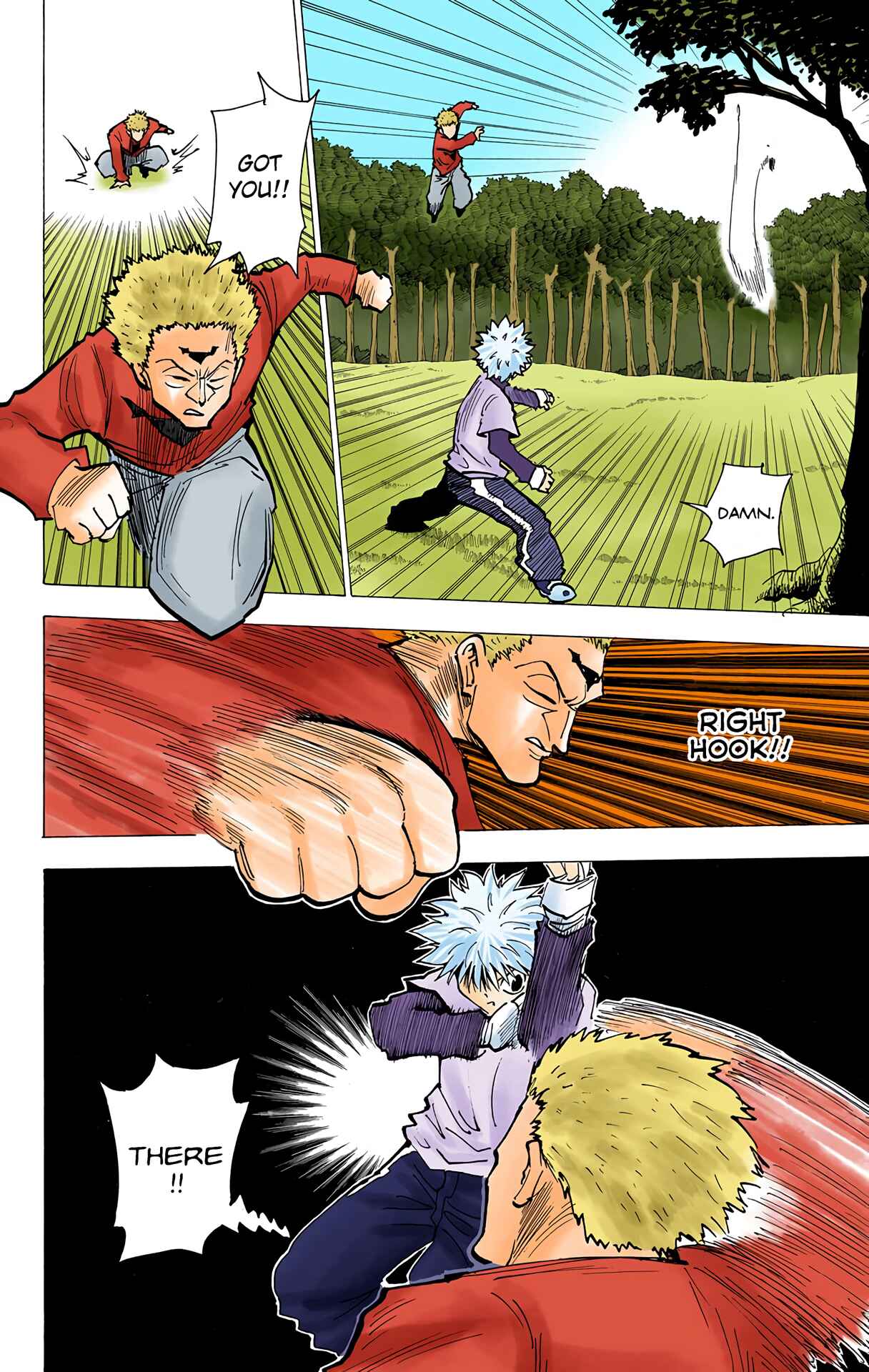 Hunter x Hunter (Official Colored) Chapter 178 - Page 10