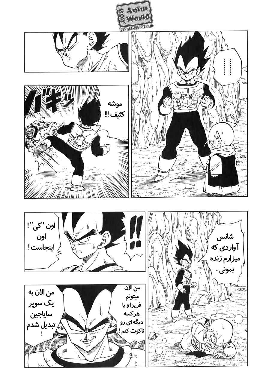 Dragon Ball Chapter 304 - Page 11