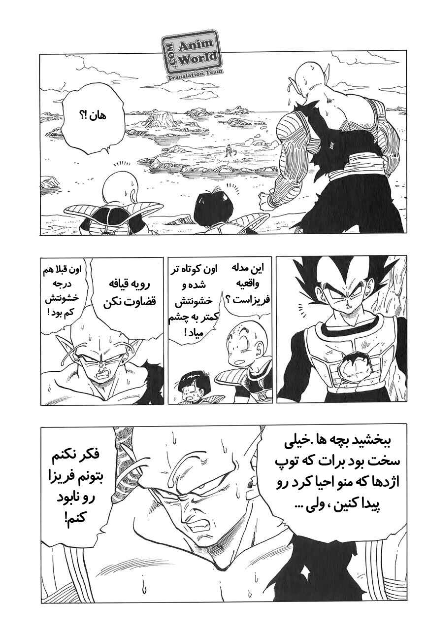 Dragon Ball Chapter 304 - Page 13