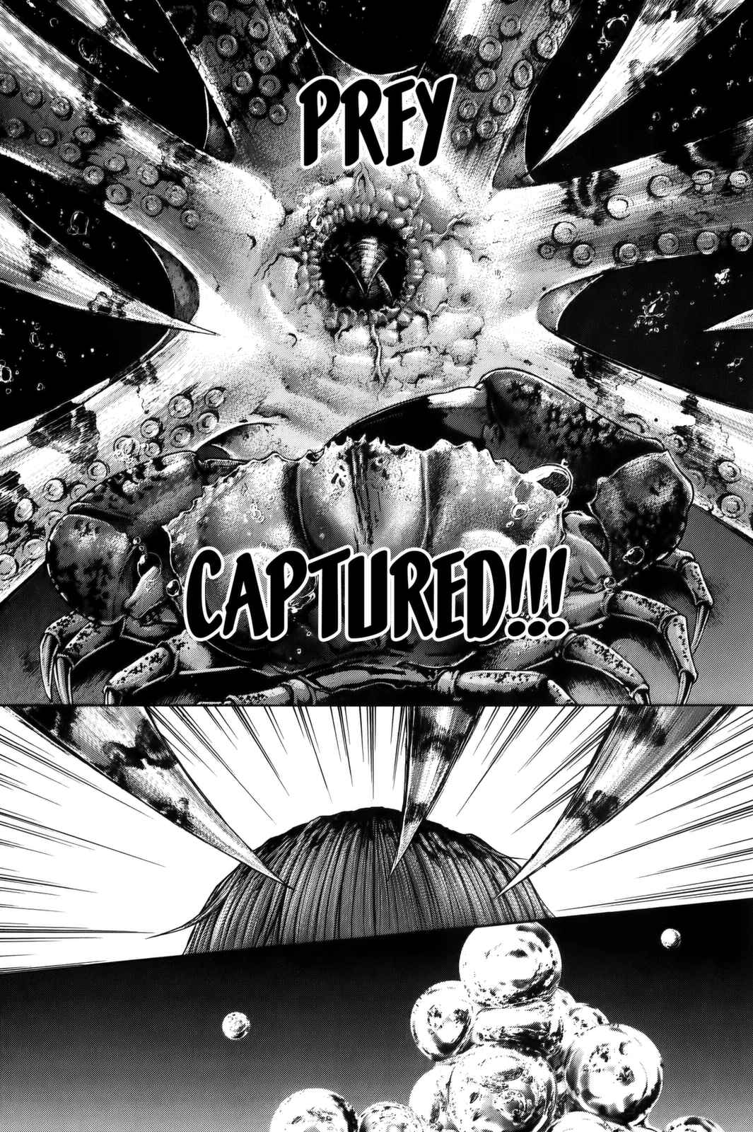 Terra Formars Chapter 65 - Page 9