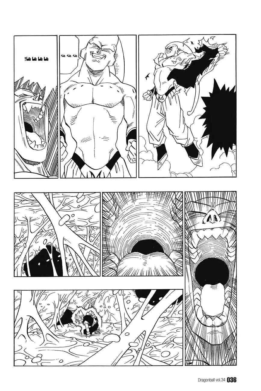Dragon Ball Chapter 506 - Page 5