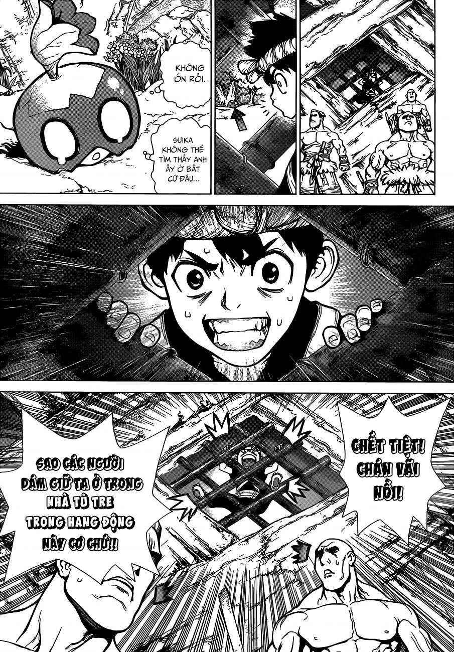 Dr.STONE Chapter 69 - Page 15