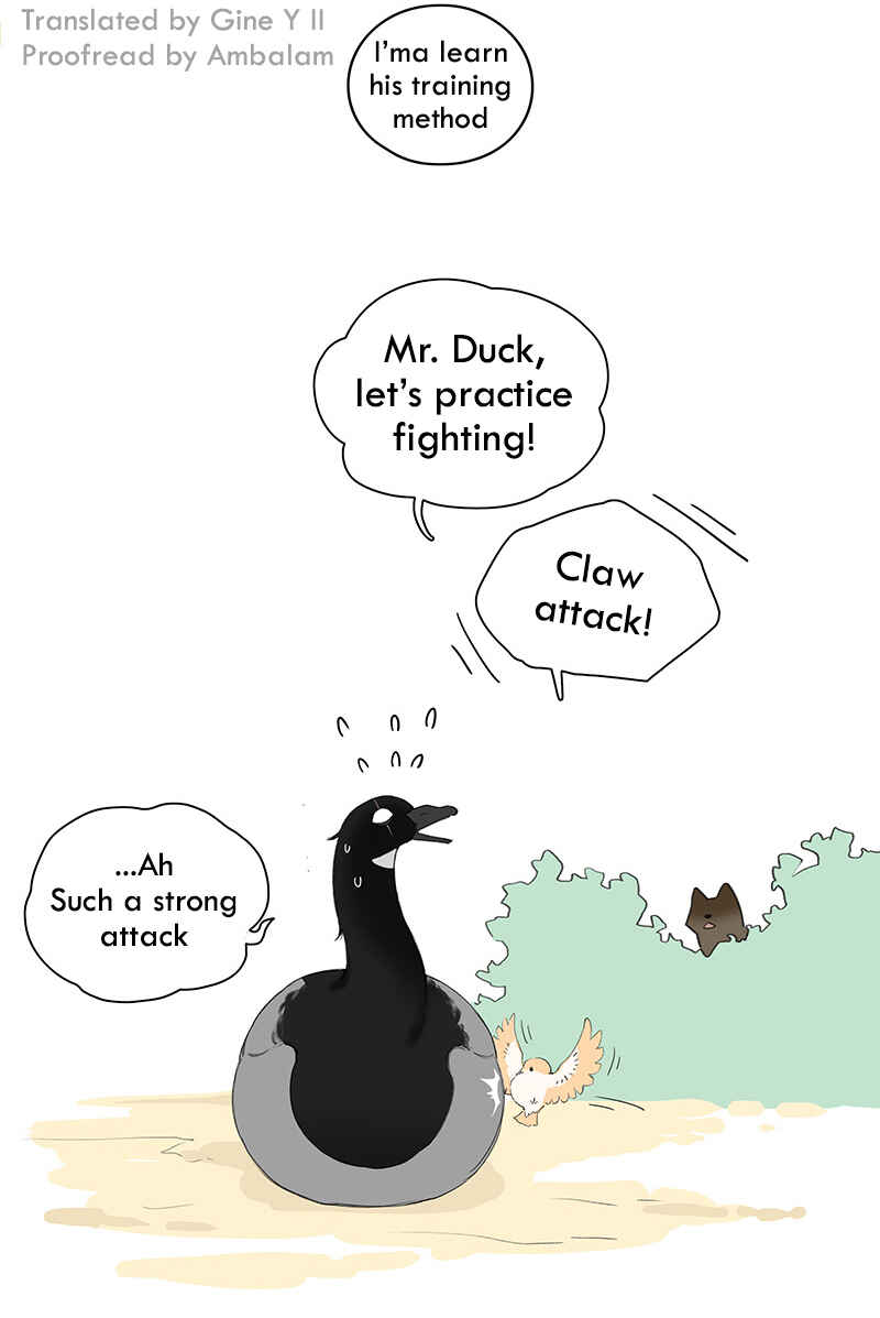 Southern Bird and Northern Bird Chapter 48 - Page 10