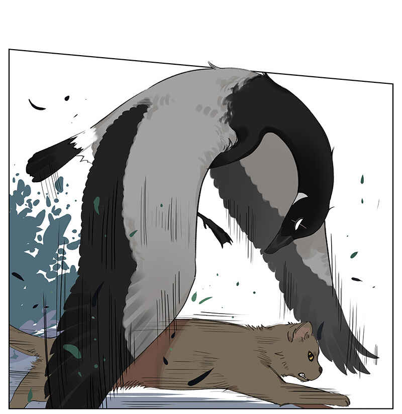 Southern Bird and Northern Bird Chapter 48 - Page 2