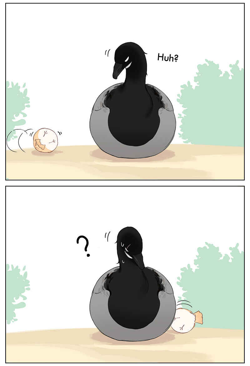 Southern Bird and Northern Bird Chapter 48 - Page 4