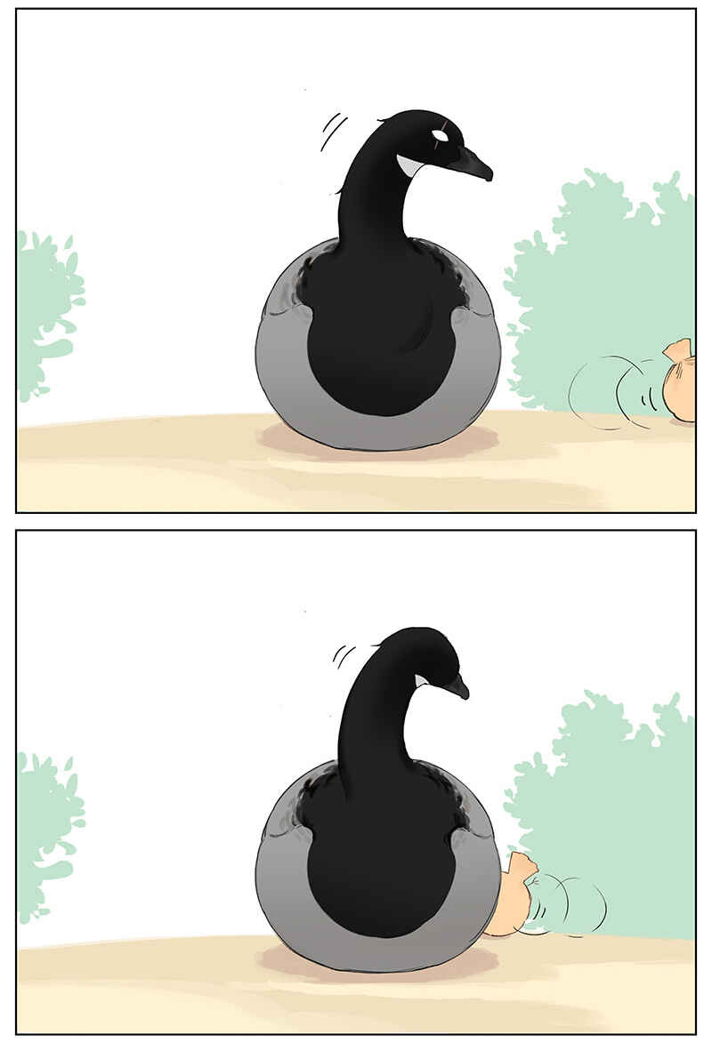 Southern Bird and Northern Bird Chapter 48 - Page 5