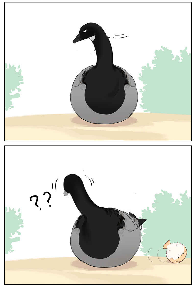 Southern Bird and Northern Bird Chapter 48 - Page 6