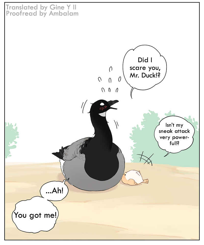 Southern Bird and Northern Bird Chapter 48 - Page 8