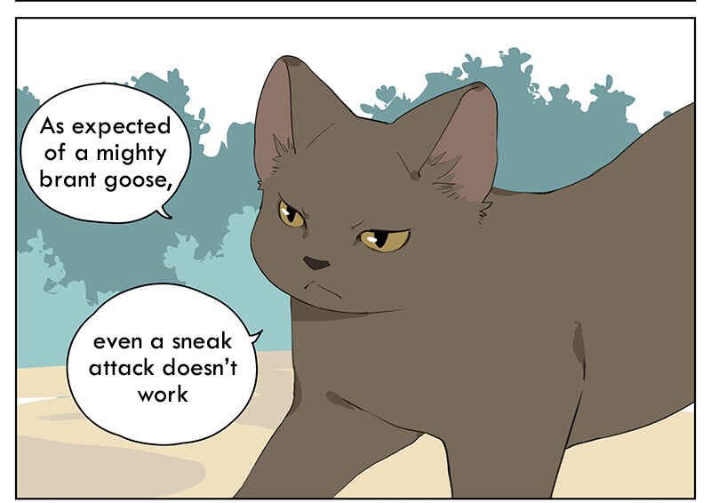 Southern Bird and Northern Bird Chapter 48 - Page 9