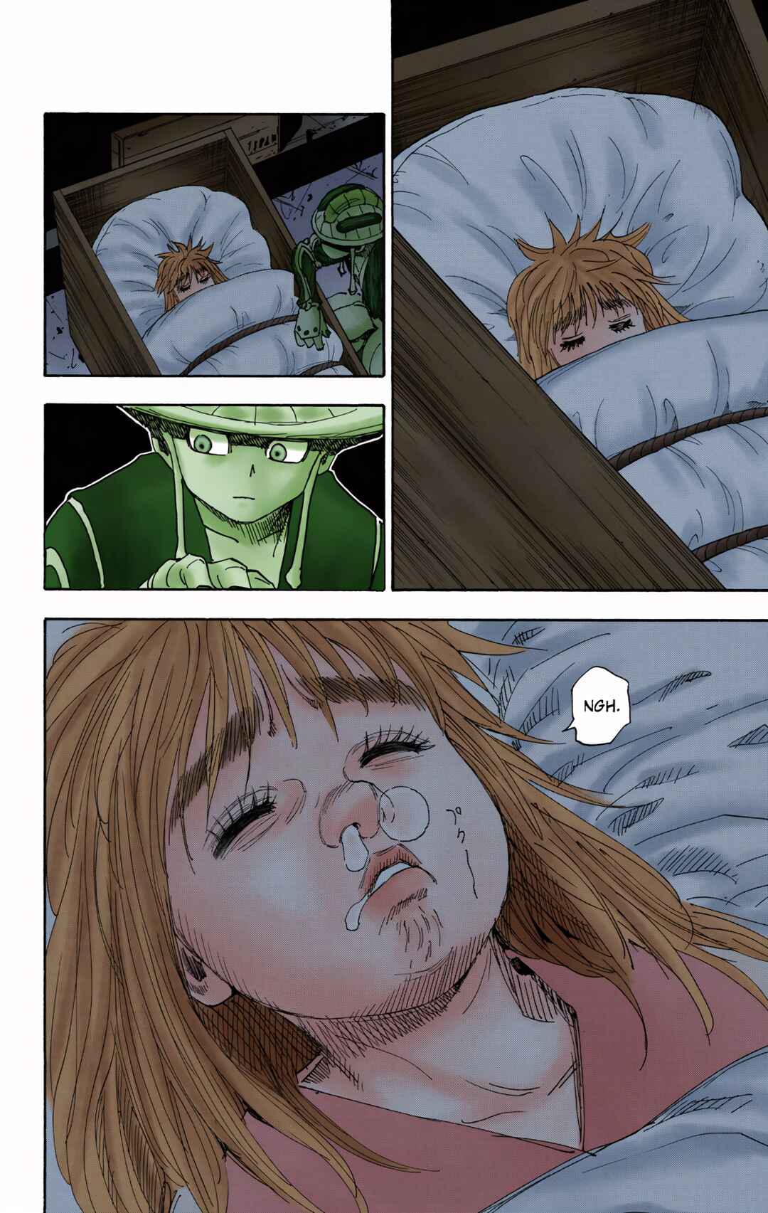 Hunter x Hunter (Official Colored) Chapter 314 - Page 17