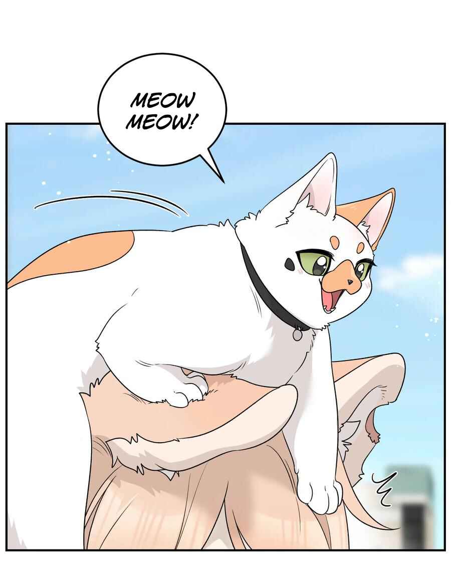 Wǒ de shíwù kàn qǐlái hěn kě'ài' Chapter 153 - Page 3