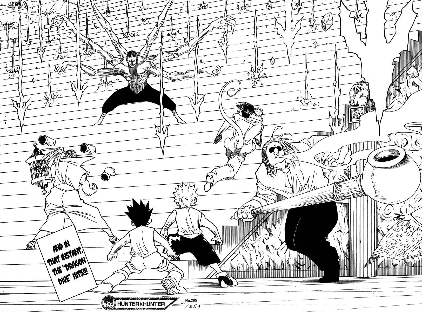 Hunter x Hunter Chapter 265 - Page 16