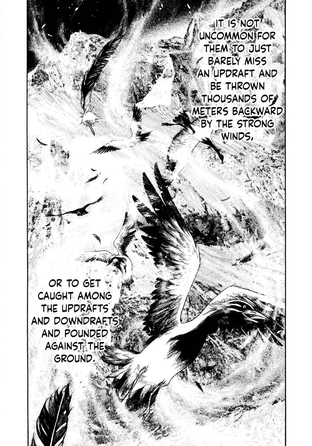 Kokou no Hito Chapter 168 - Page 13